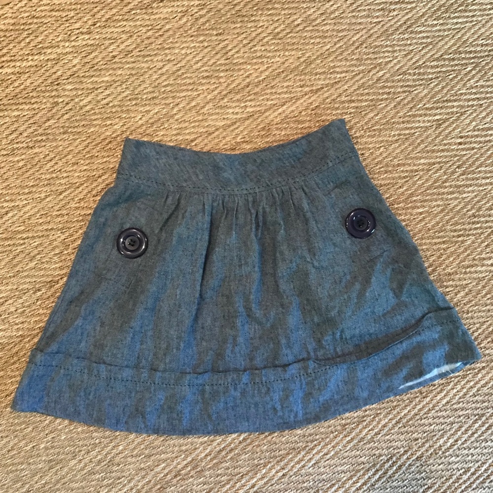 Wish Denim Skirt